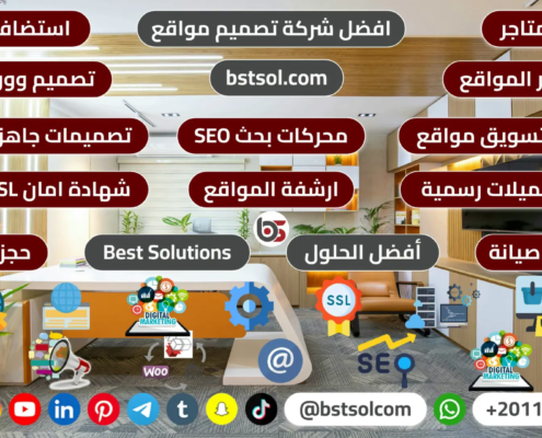 افضل شركة تصميم مواقع متاجر ارشفة تسويق استضافة فى مصر