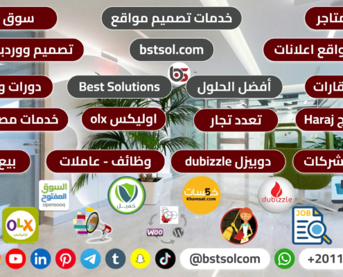 افضل شركة تصميم مواقع متاجر ارشفة تسويق استضافة فى مصر